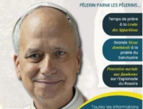 Visite pontificale